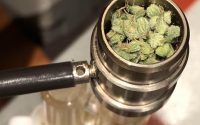 Elevate Your Cannabis Experience with Electric Weed Grinders