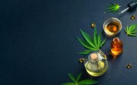 The Science Behind CBD Oil: Debunking Myths in Toronto