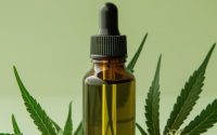 How CBD Oil Can Improve Your Dog’s Quality of Life in Canada